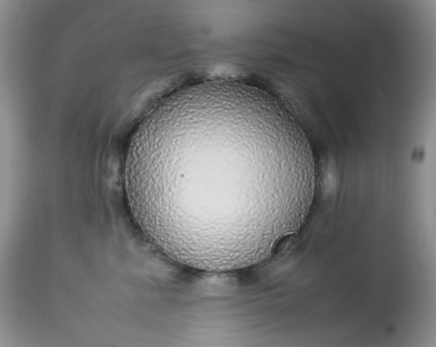X0000113560619200910091416