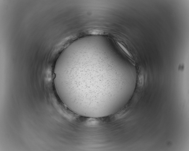 X0000113560620200910091416