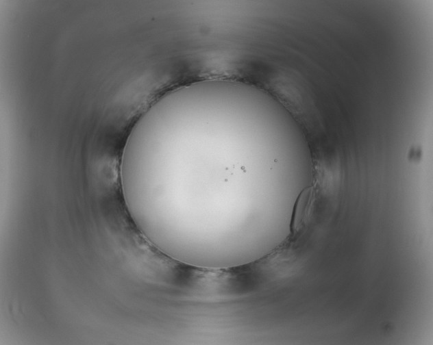 X0000113560621200910091416