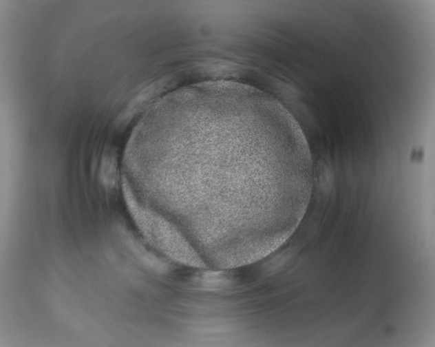 X0000113560622200910091416