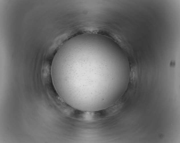 X0000113560623200910091416