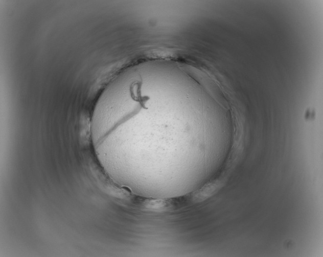 X0000113560624200910091416