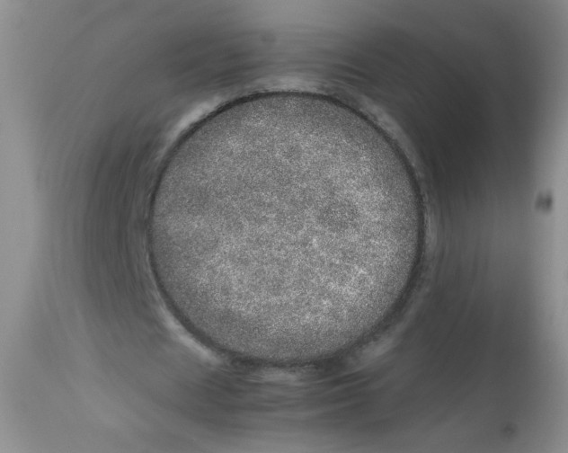 X0000113560625200910091415