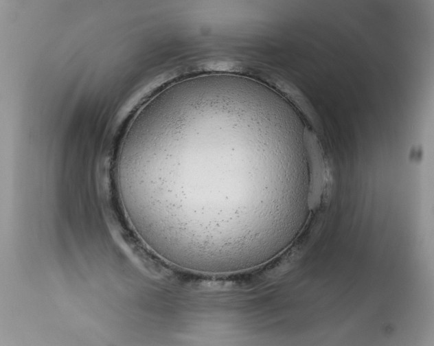 X0000113560626200910091415