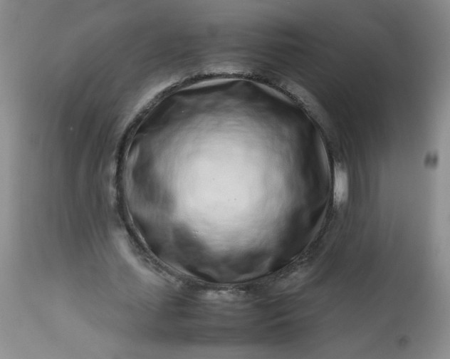 X0000113560627200910091415