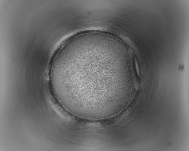 X0000113560628200910091415