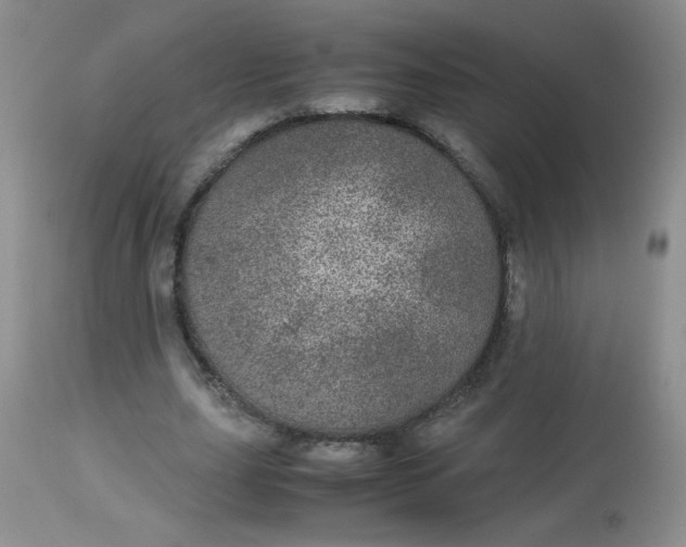 X0000113560631200910091415