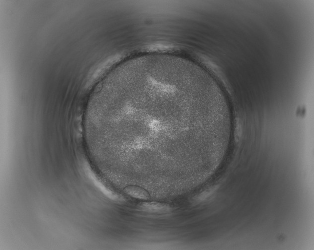 X0000113560633200910091415