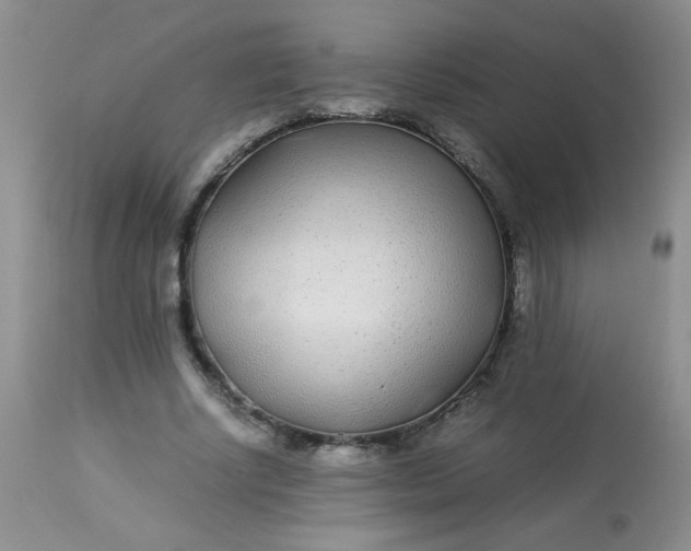 X0000113560634200910091415