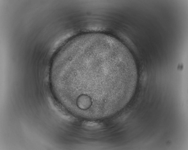 X0000113560635200910091415