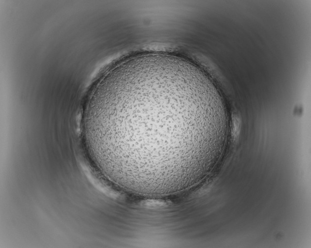 X0000113560636200910091415