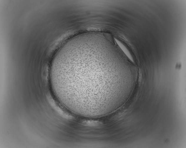 X0000113560637200910091415