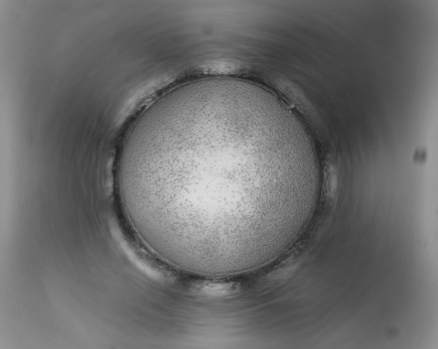 X0000113560638200910091415