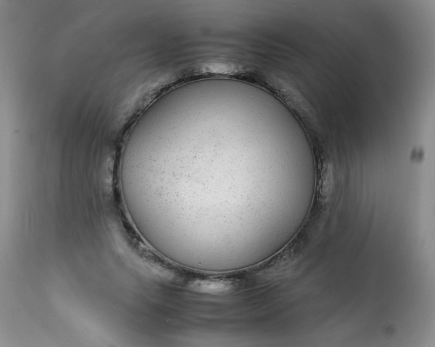 X0000113560639200910091415