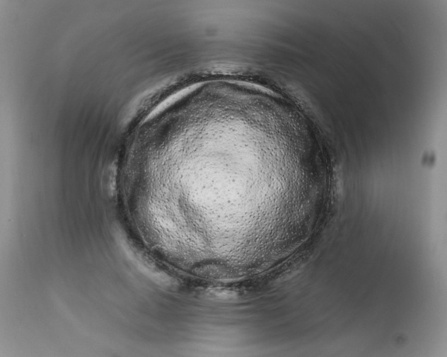 X0000113560640200910091415