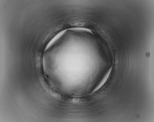 X0000113560641200910091415