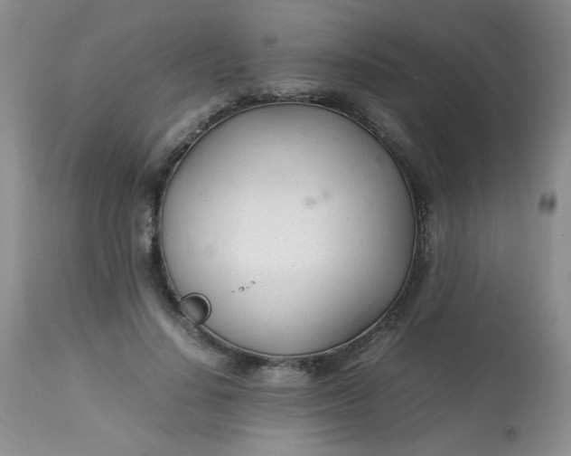 X0000113560644200910091415