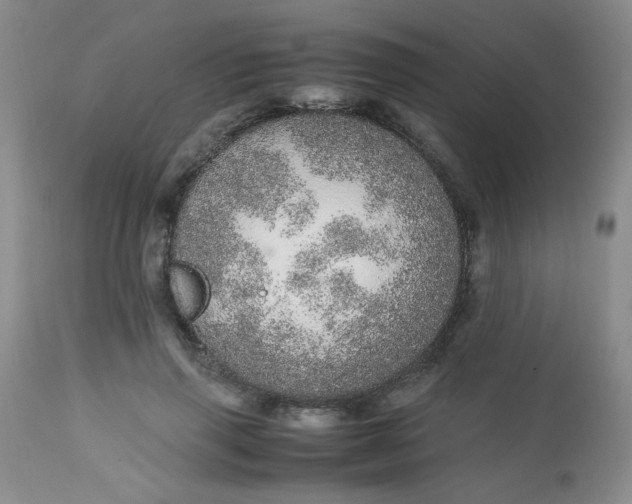 X0000113560645200910091415