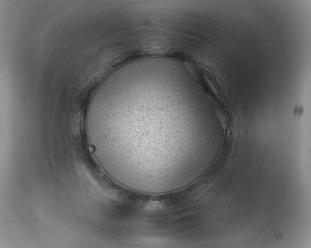 X0000113560647200910091415