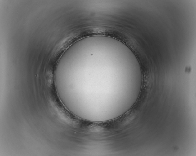 X0000113560648200910091415