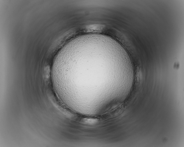 X0000113560649200910091415