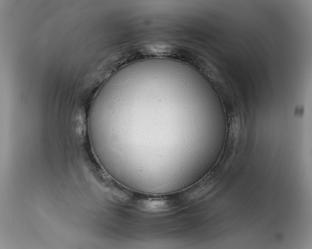 X0000113560651200910091415