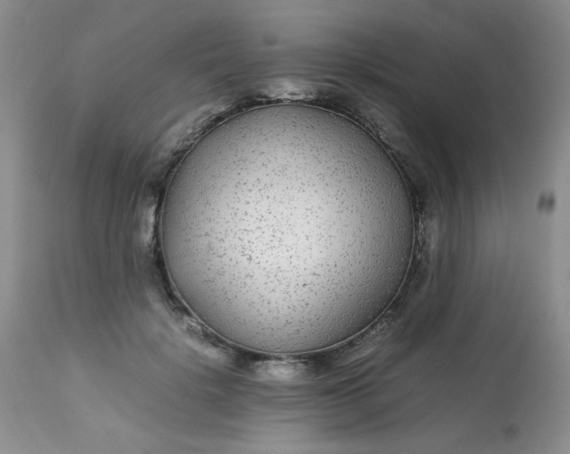 X0000113560652200910091415