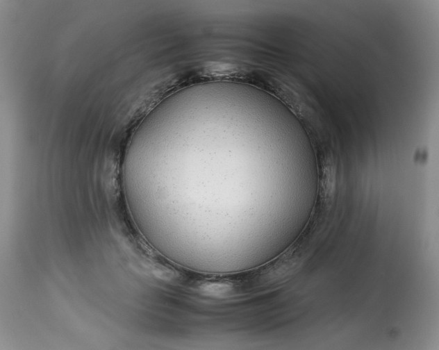 X0000113560653200910091415