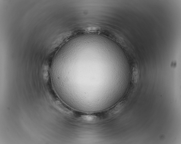 X0000113560654200910091416