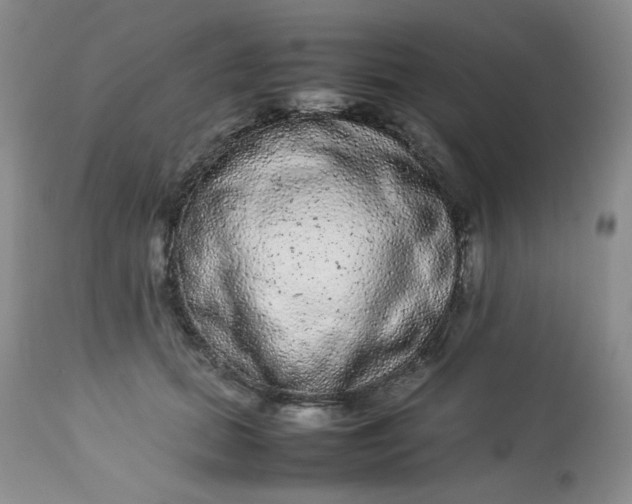 X0000113560655200910091416