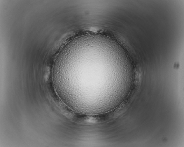 X0000113560656200910091416