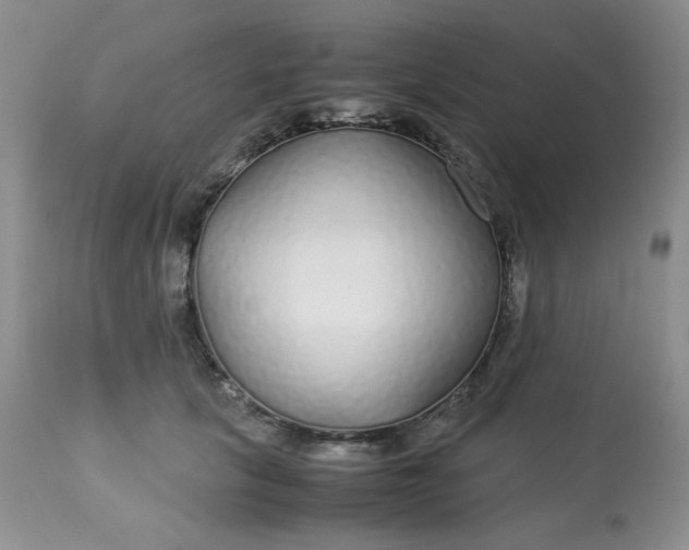 X0000113560657200910091416