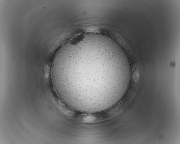 X0000113560658200910091416