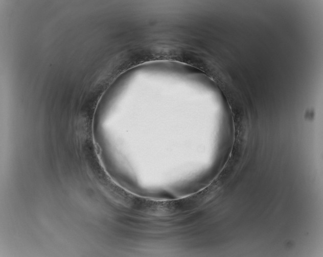 X0000113560659200910091416