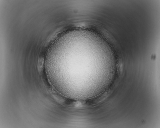 X0000113560660200910091416