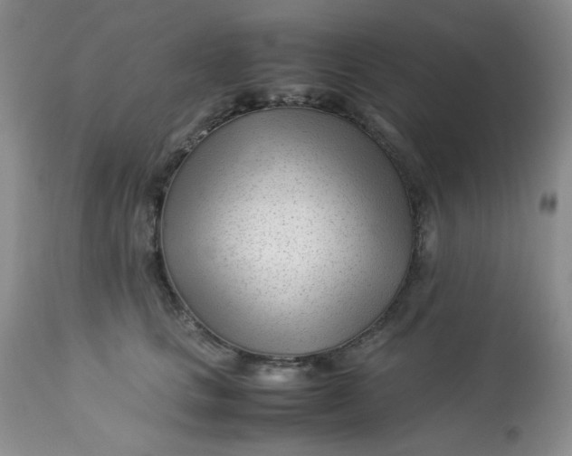 X0000113560661200910091416