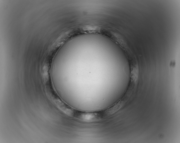 X0000113560662200910091416