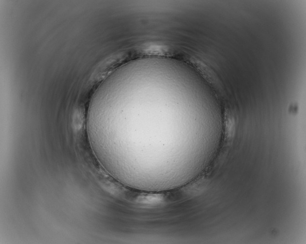 X0000113560665200910091416