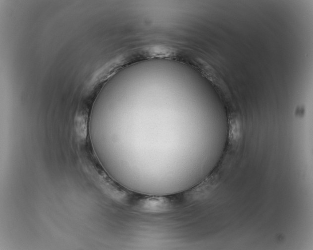 X0000113560666200910091416