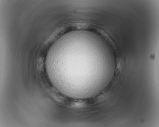 X0000113560667200910091416