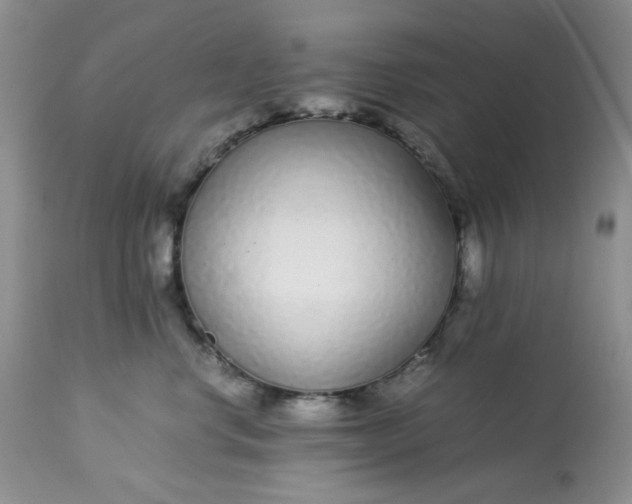 X0000113560668200910091416