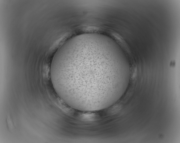 X0000113560669200910091416