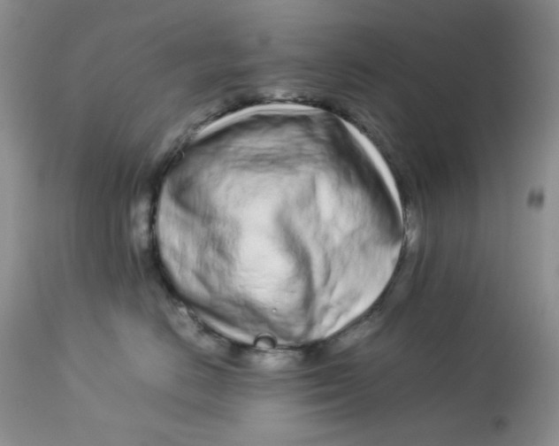 X0000113560670200910091416