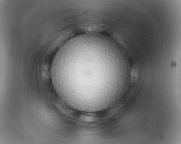 X0000113560671200910091416