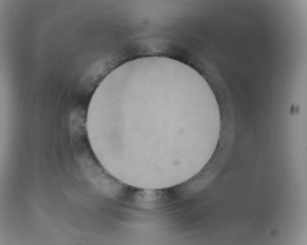 X0000113560672200910091416