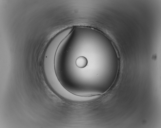 X0000113560673200910091415