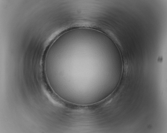 X0000113560674200910091415