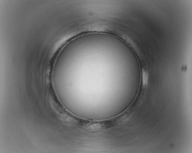 X0000113560675200910091415