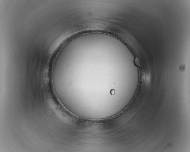 X0000113560676200910091415