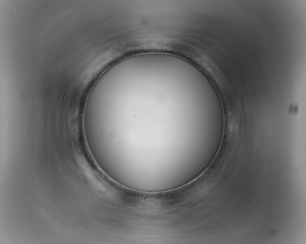 X0000113560677200910091415